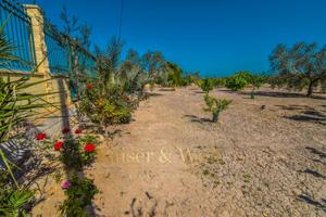 Terreno a la venta en Callosa de Segura photo 0