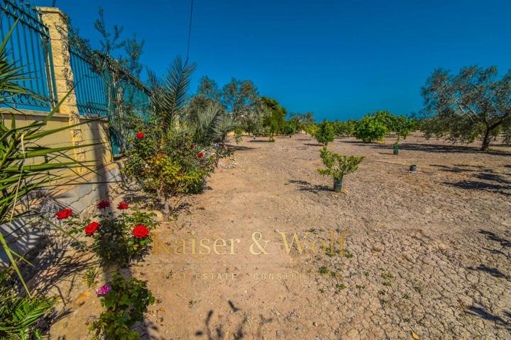 Terreno a la venta en Callosa de Segura photo 0