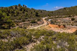 Parcela con Casa rústica en medio de la naturaleza en Tibi photo 0