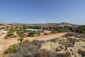 Finca en Torrellano photo 0