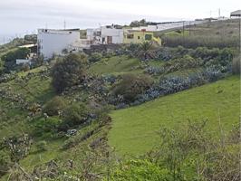 Parcela en Tafira photo 0