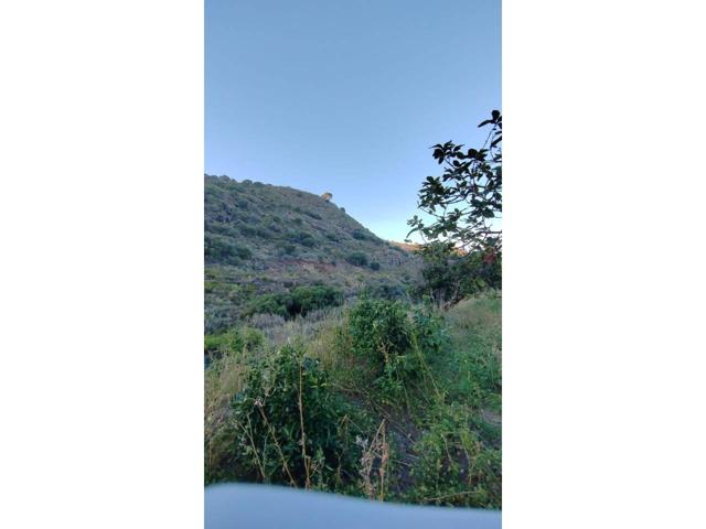 Se vende Finca en la Milagrosa Las Palmas photo 0