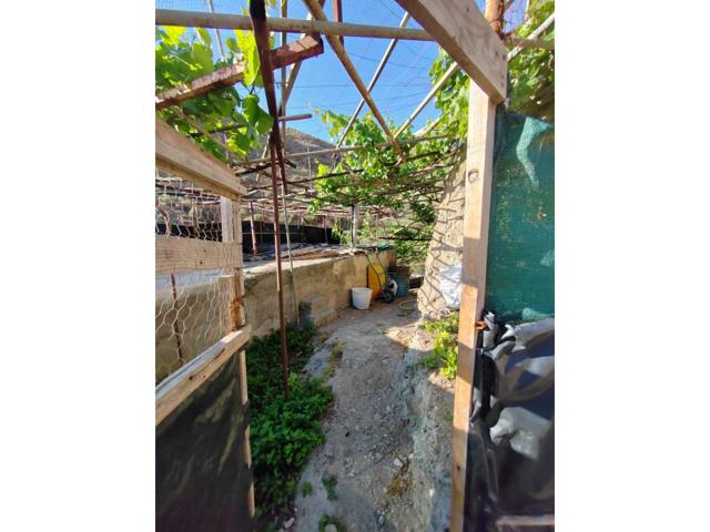 Se vende parcela en produccion photo 0