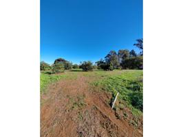 Parcela en Firgas Gran Canaria photo 0