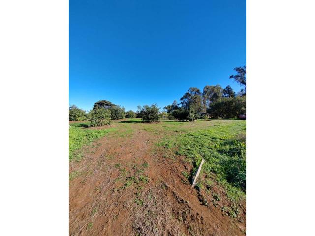 Parcela en Firgas Gran Canaria photo 0