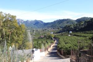 🌟 ¡Última Oportunidad! Vive en el Paraíso en El Respirall de Alzira 🌟 photo 0