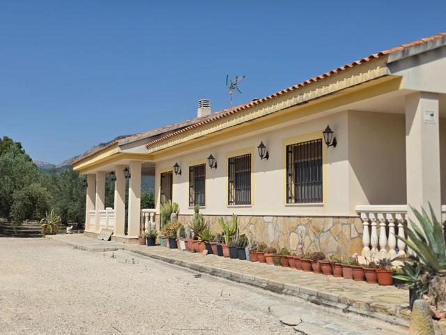 ¡Exclusiva propiedad en Olivos – 11.000 m² de tranquilidad y confort! photo 0