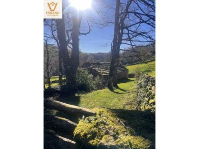 Cabaña Pasiega con finca photo 0