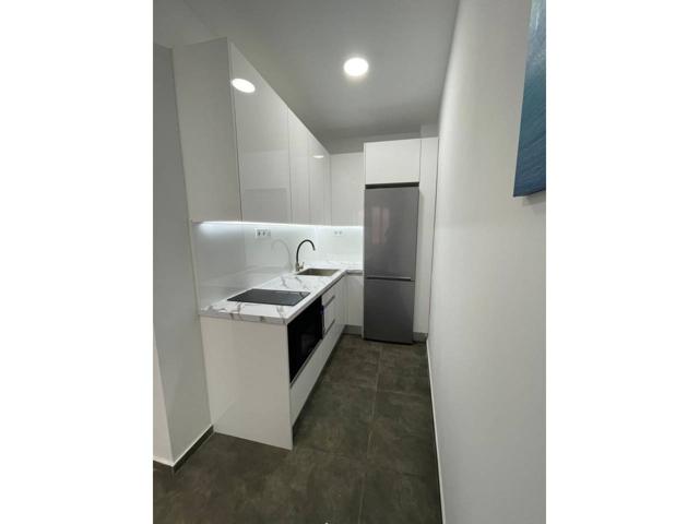 Apartamento en alquiler en Puerto Canteras photo 0