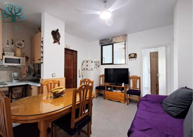 APARTAMENTO EN SAN ISIDRO photo 0