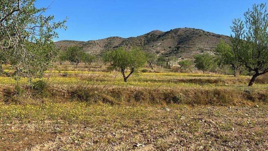 Terreno en Tallante photo 0