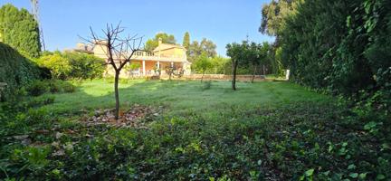 Venta de finca de recreo. Chaparrito. Jerez. photo 0