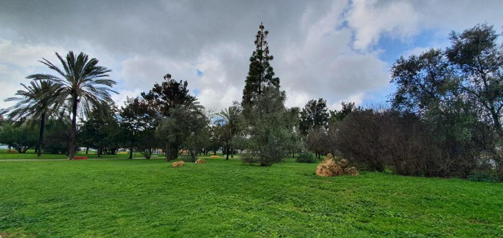 Venta de piso en Jerez. Puertas del Sur. VPO photo 0
