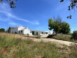 Casa De Campo En venta en Archidona photo 0