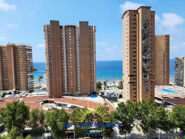 Piso En venta en Avenida Del Mediterraneo, Benidorm photo 0