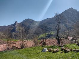 Finca con calificación urbano y rustico de 8.544m2 en SOBREDOBRES (VEGA DE LIEBANA) photo 0