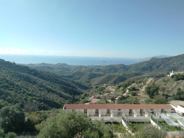 UN RINCON DE SOSIEGO EN LAS COLINAS DE MÁLAGA. photo 0