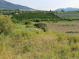 FINCA RUSTICA photo 0