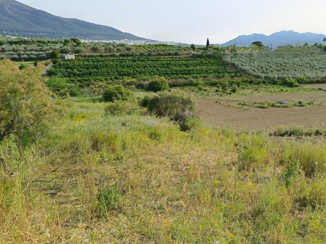 FINCA RUSTICA photo 0