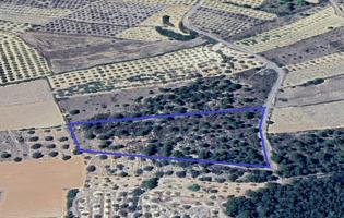 Terreno Urbanizable En venta en Les Coves de Vinromà photo 0