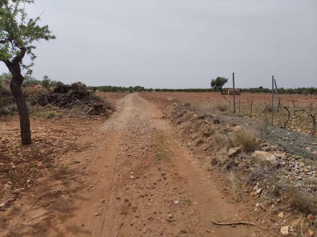 Terreno Urbanizable En venta en Benlloch photo 0