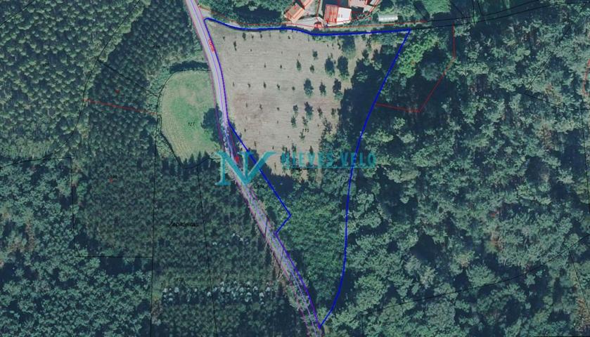 LEMA:Parcela rústica de 9.074 con vistas al mar. photo 0