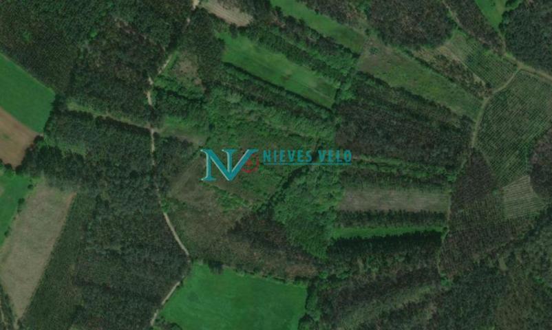 Cances: Venta de Monte de 23.817 metros cuadrados, en la zona de Liñeiro photo 0