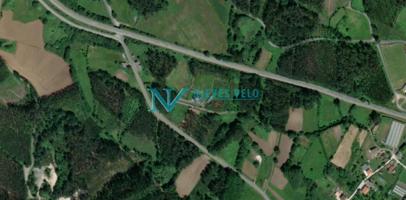 Se vende finca rústica de (1.926 m2) con plantación de árboles. photo 0