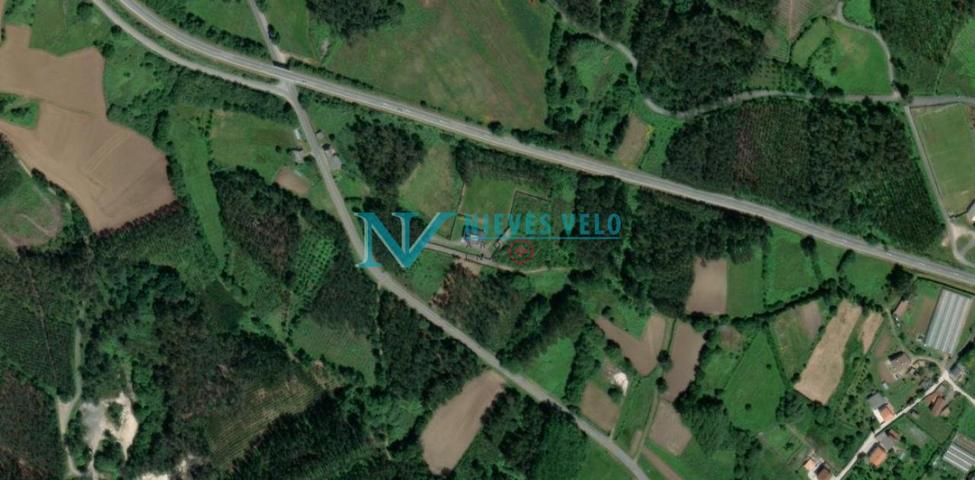 Se vende finca rústica de (1.926 m2) con plantación de árboles. photo 0