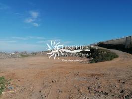 Finca agrícola y ganadera en Tejina de Isora photo 0