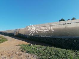 Finca agrícola con invernaderos en Tejina de Isora photo 0