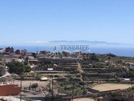 Finca con casa en Granadilla de Abona photo 0