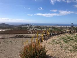 finca con casa en Granadilla de Abona photo 0