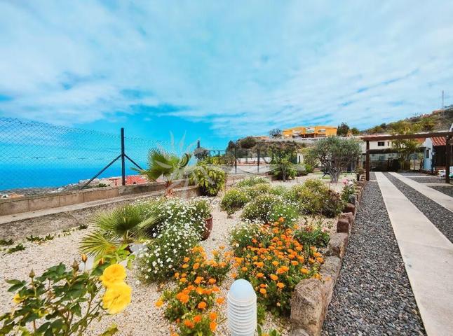 Chalet con finca en Icod de Los Vinos. photo 0