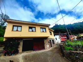 Casa En venta en Paxío. 33615, Mieres (asturias), Mieres photo 0