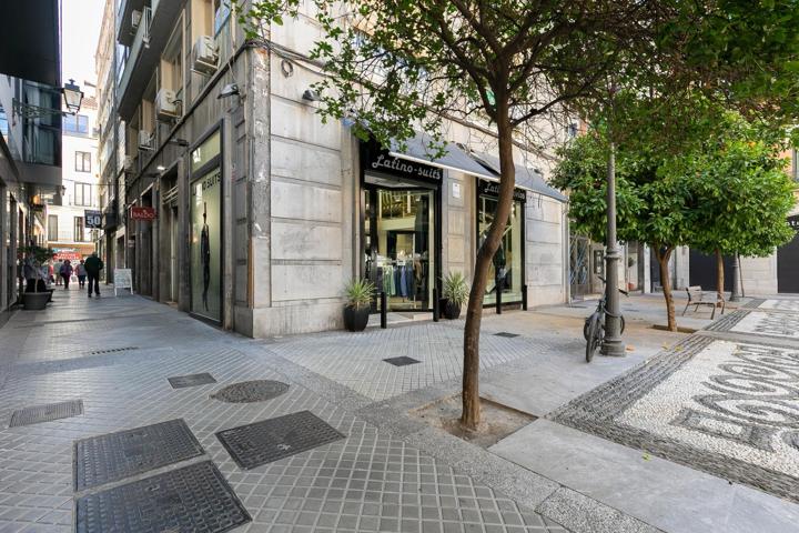 Alquiler local en Centro de Granada photo 0