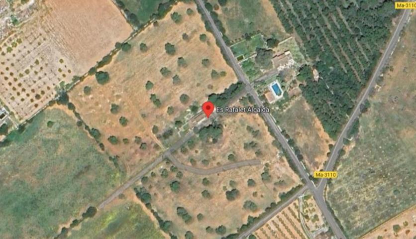 Agrícola En venta en Algaida photo 0