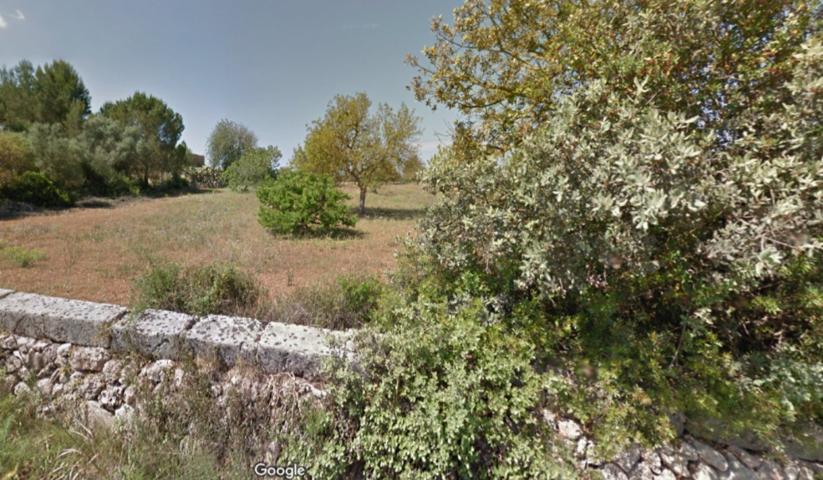 Agrícola En venta en Algaida photo 0