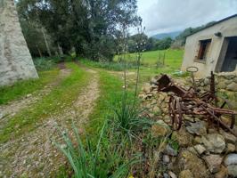Casa En venta en Selva photo 0