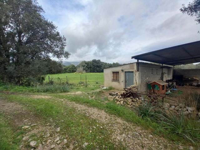 Casa En venta en Selva photo 0