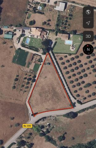 Agrícola En venta en Pollença photo 0