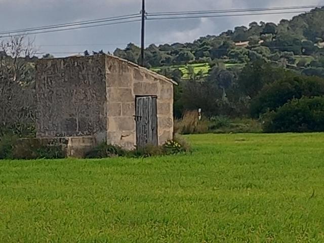 Agrícola En venta en Manacor photo 0