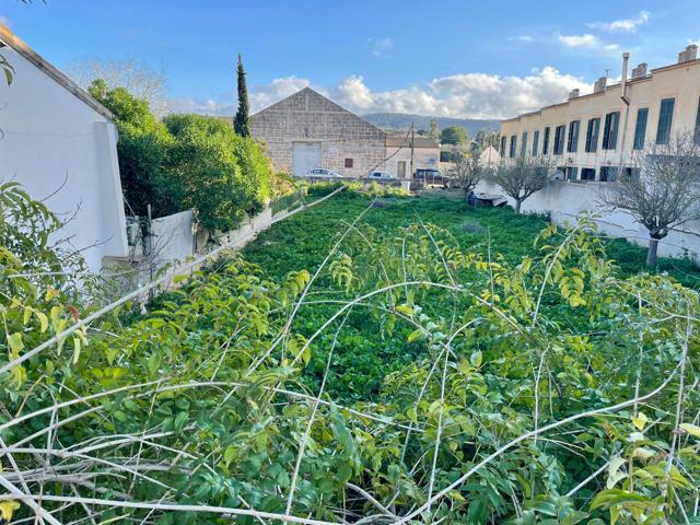 Agrícola En venta en Felanitx photo 0