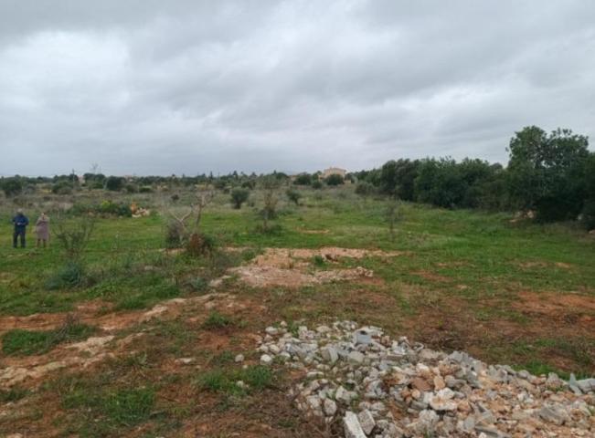 Agrícola En venta en Manacor photo 0