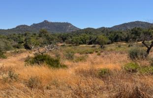 Agrícola En venta en Felanitx photo 0