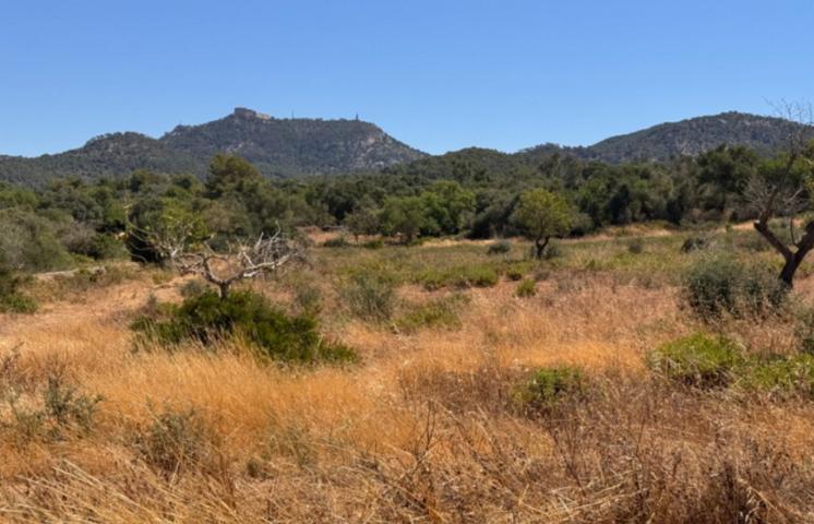 Agrícola En venta en Felanitx photo 0