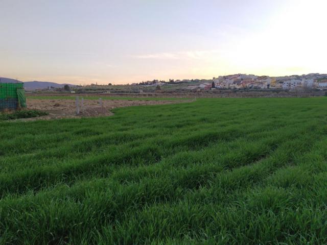 VENTA DE FINCA EN LAS GABIAS photo 0