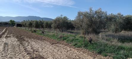 Agrícola En venta en Otura, Otura photo 0