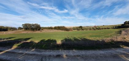 ESTUPENDA FINCA RUSTICA EN MORALEDA DE ZAFAYONA photo 0