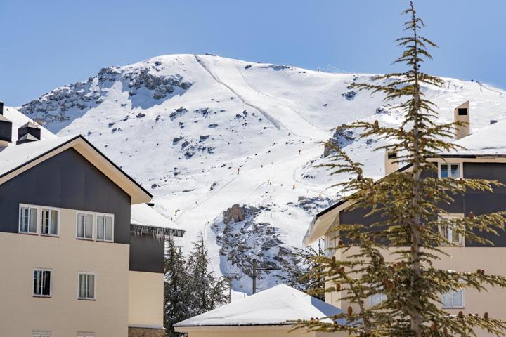 ¡MAGNIFICO APARTAMENTO CON PLAZA DE GARAJE CERRADA EN SIERRA NEVADA! photo 0